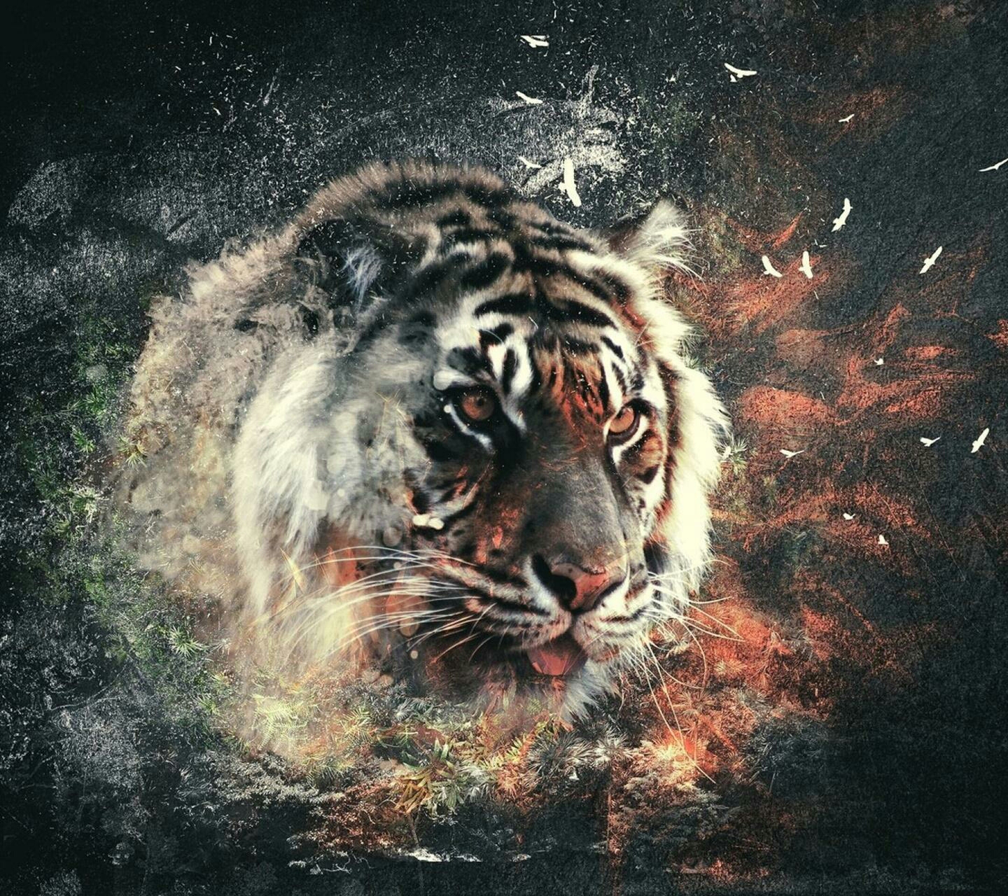 Мага тигр