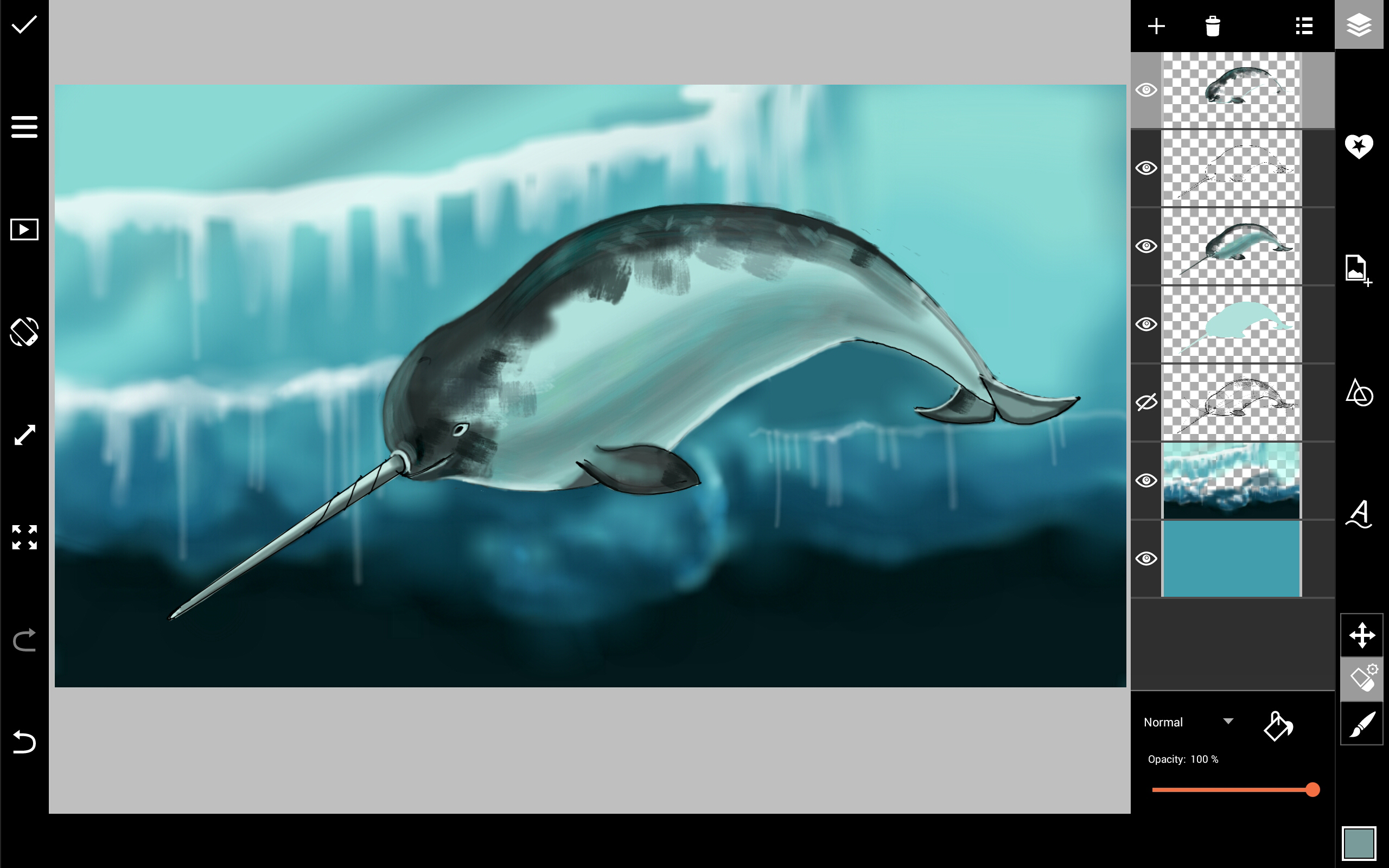 narwhal drawing final steps