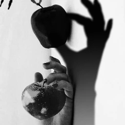 fteapple shadows edited apple