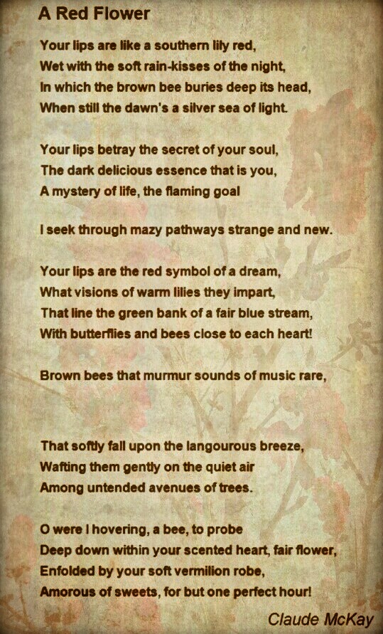 Handy sprüche zum nachdenken